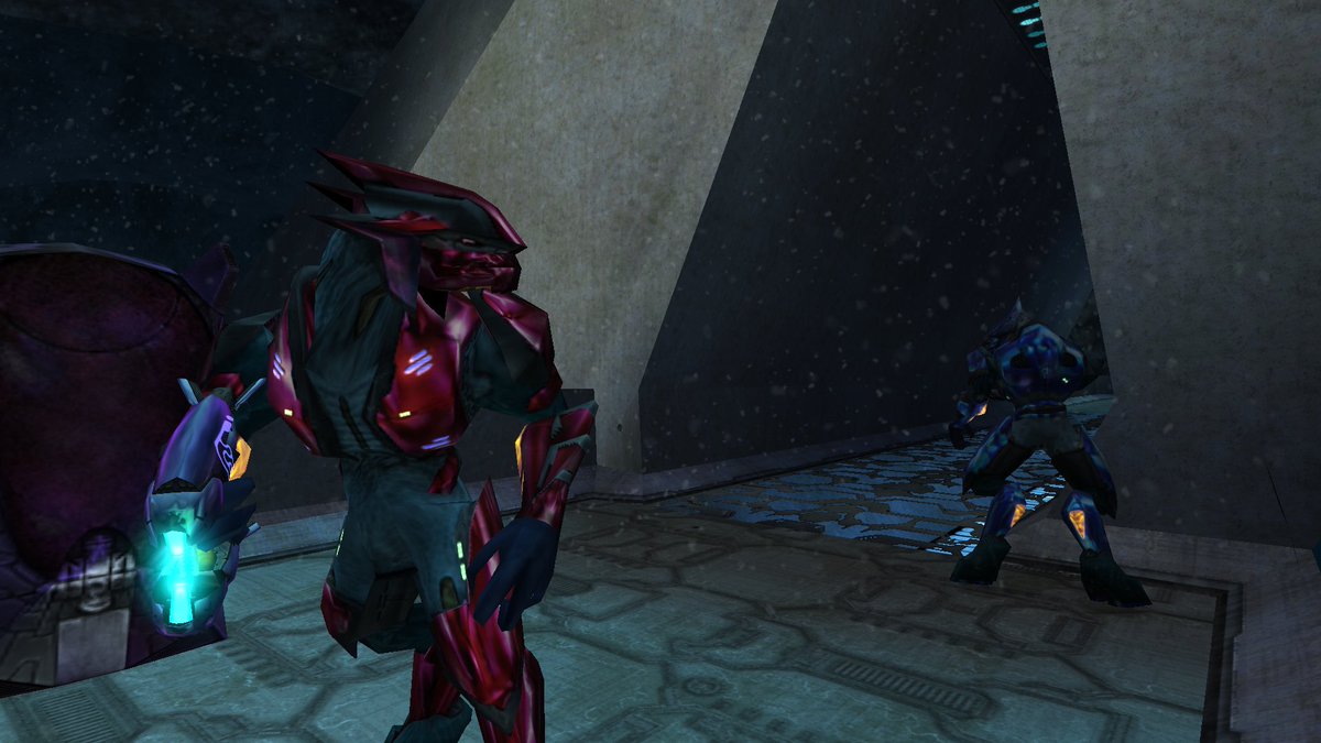 Langley 🐬🇦🇶 tweet media