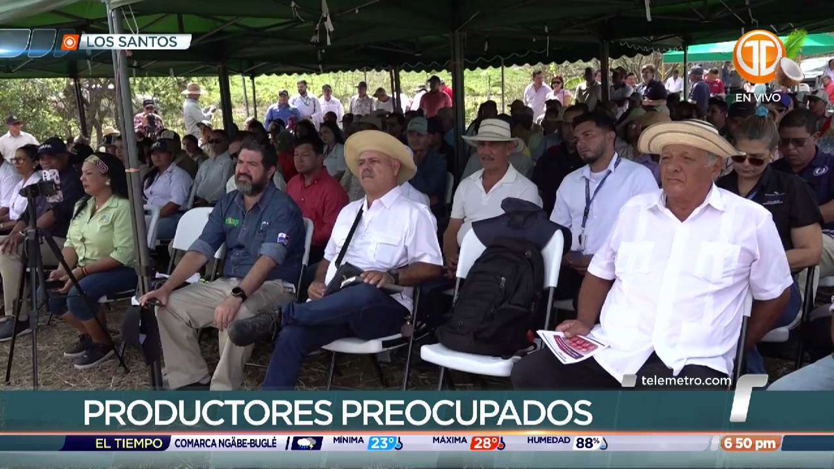 Telemetro Reporta tweet media