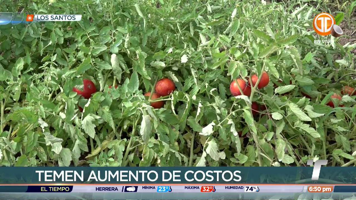 Telemetro Reporta tweet media