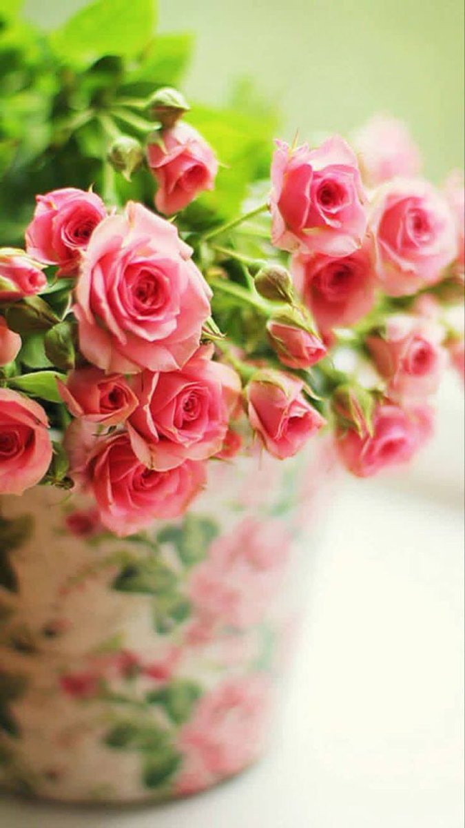 𝕳𝖊𝖓𝖉 𝕳𝖊𝖓𝖉𝖆𝖜𝖞 tweet media