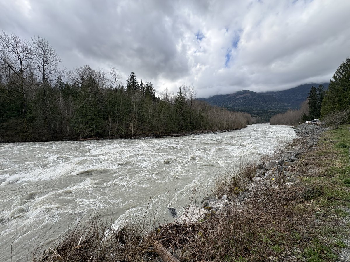 Canadian Gray Man tweet media