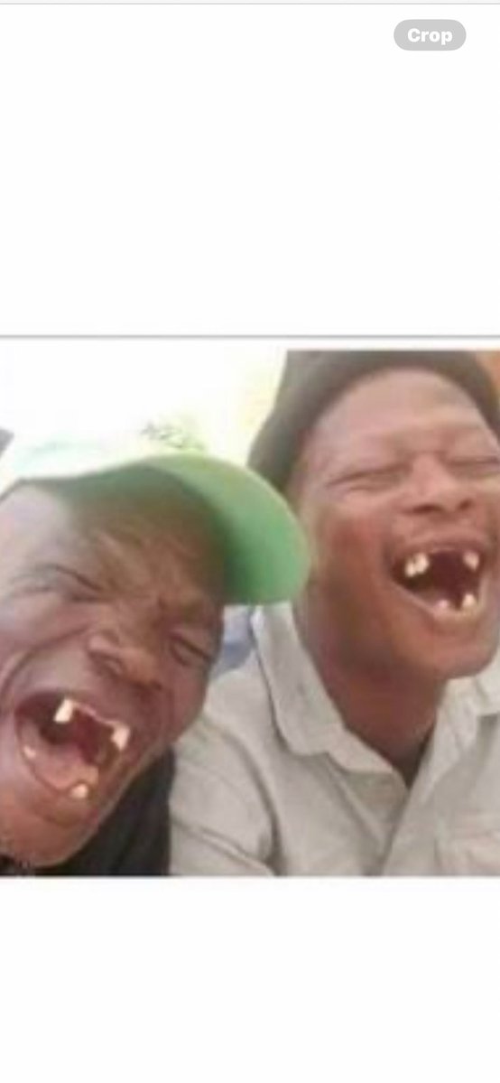 Yosemite Sam! tweet media