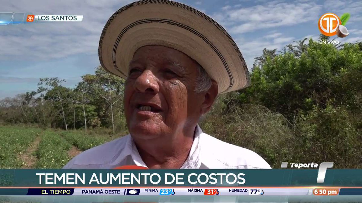 Telemetro Reporta tweet media