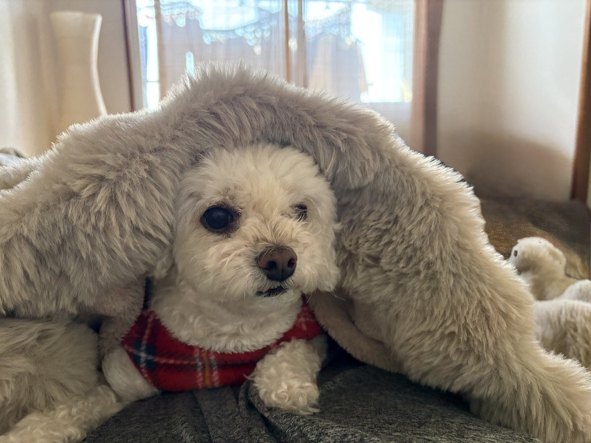 じゅん　BK tweet media