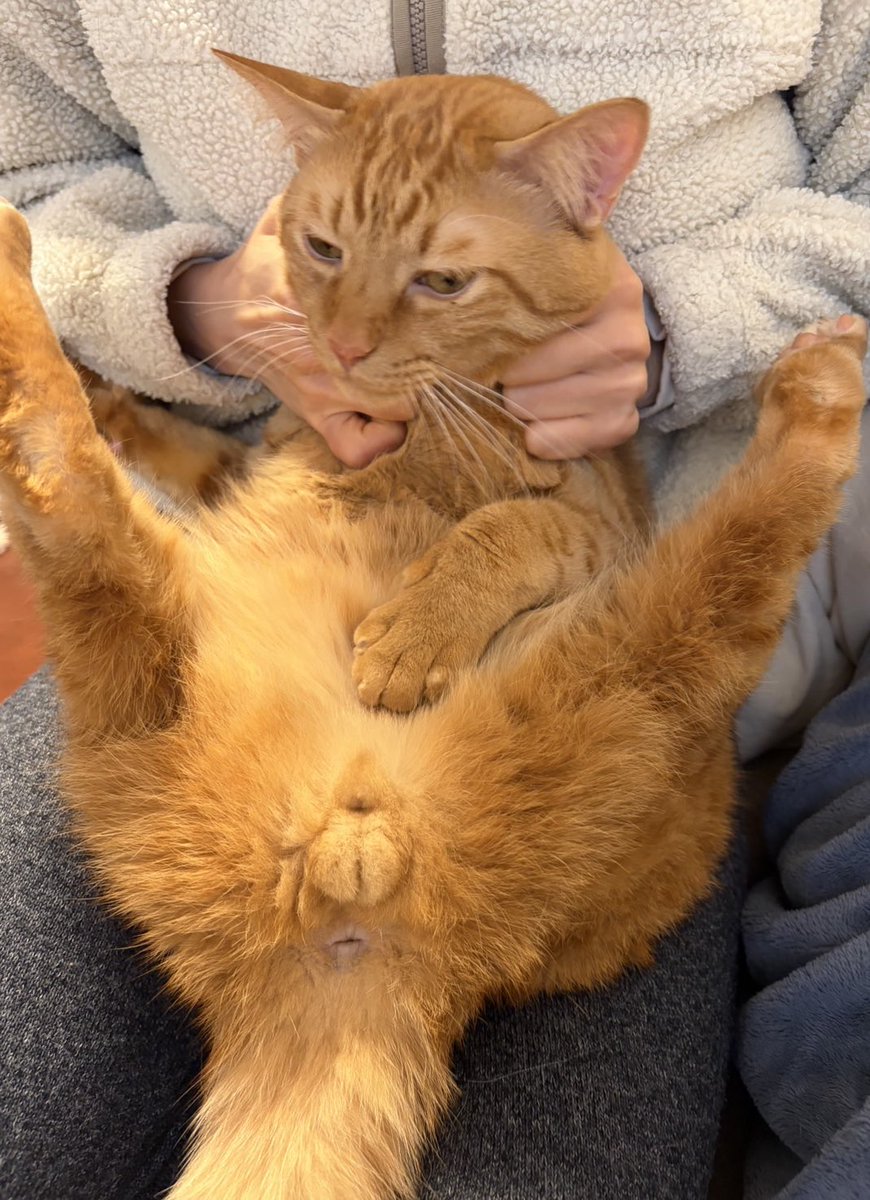 キムチ母‼️ tweet media