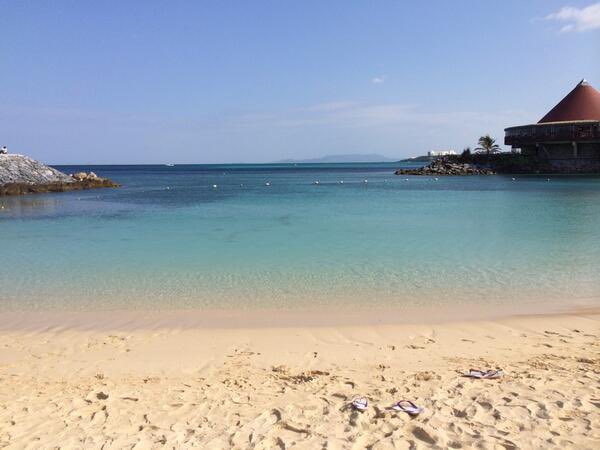 あじっこ📚🏔️資格迷走難民💡🏯 tweet media