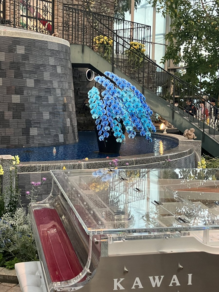 あじっこ📚🏔️資格迷走難民💡🏯 tweet media