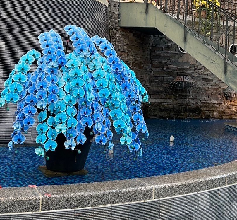 あじっこ📚🏔️資格迷走難民💡🏯 tweet media