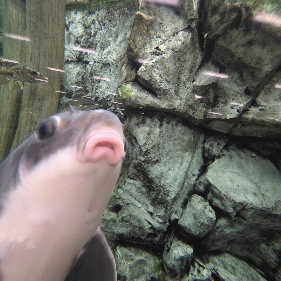 OffRoadCampingBoys tweet media