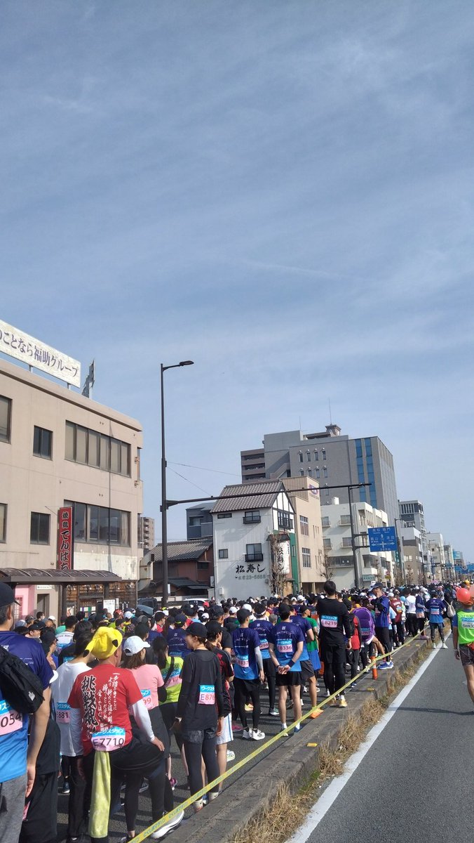 一本杉 tweet media