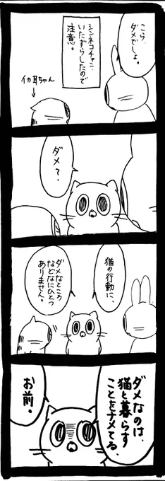 猫との生活をナメるな 