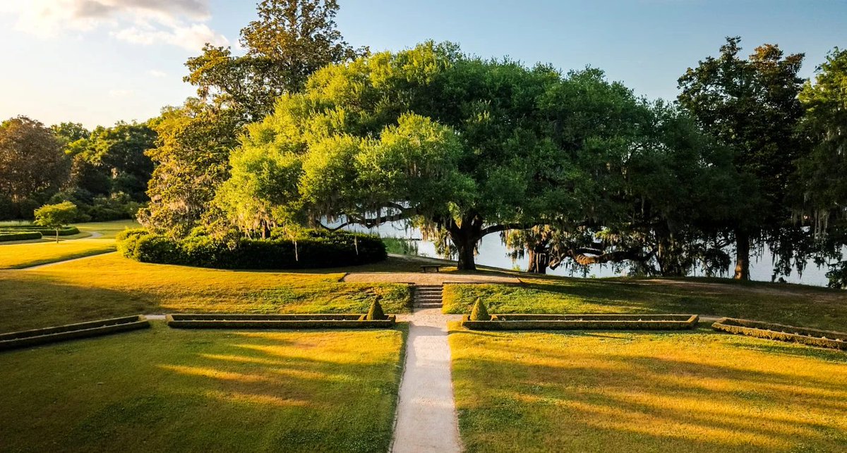 Explore Charleston tweet media