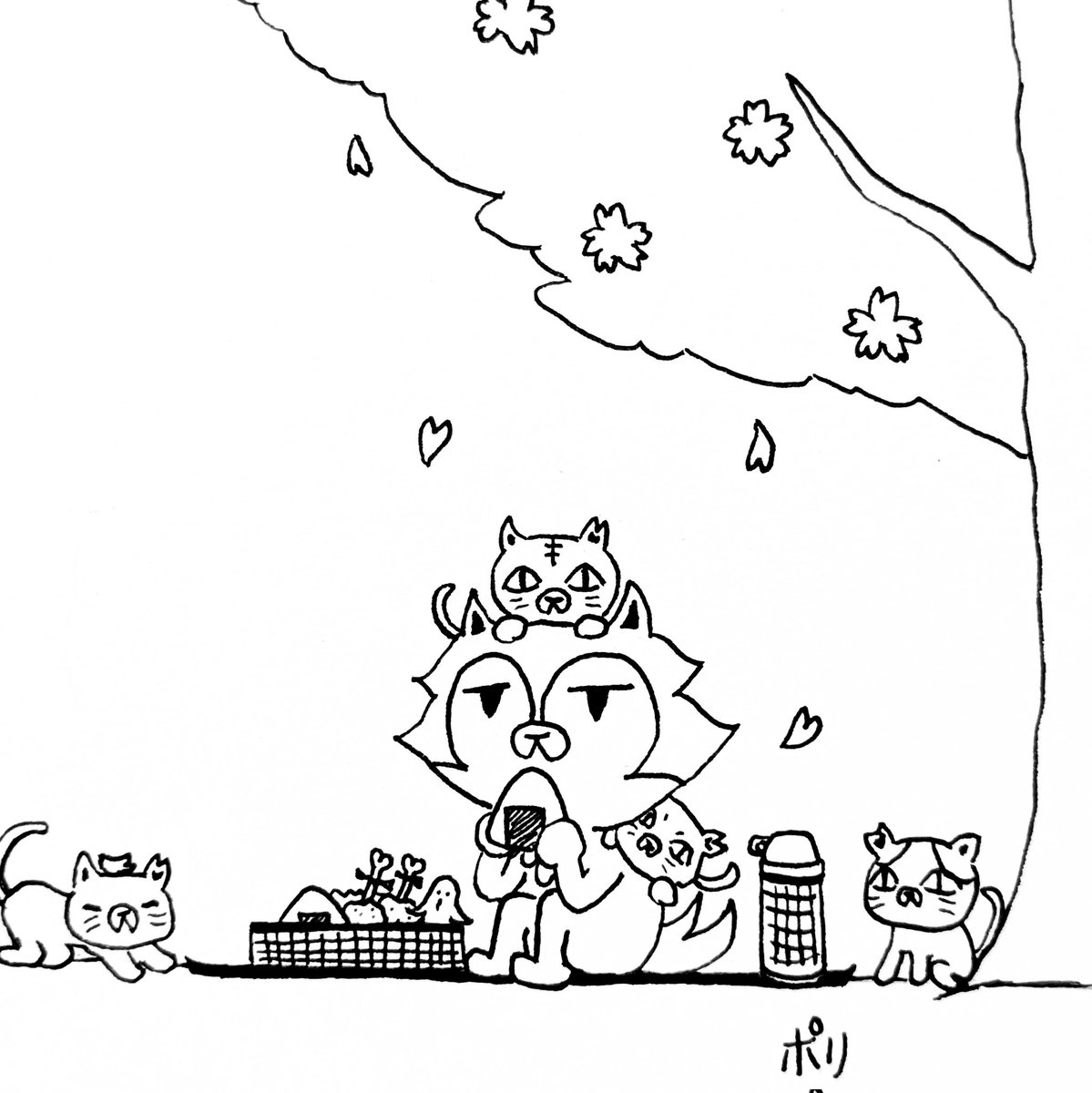 ポリードル tweet media