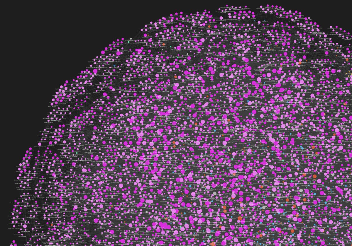 Tex 👾🐸 tweet media