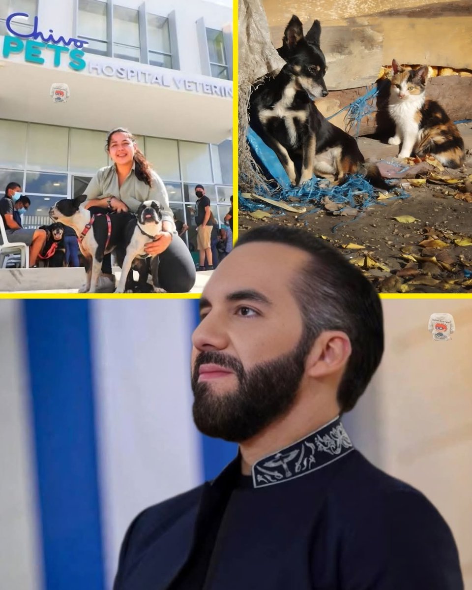 🎙️ ᗰᖇ. ᑕíᐯIᑕO ®🇲🇽₿ ✖️ tweet media