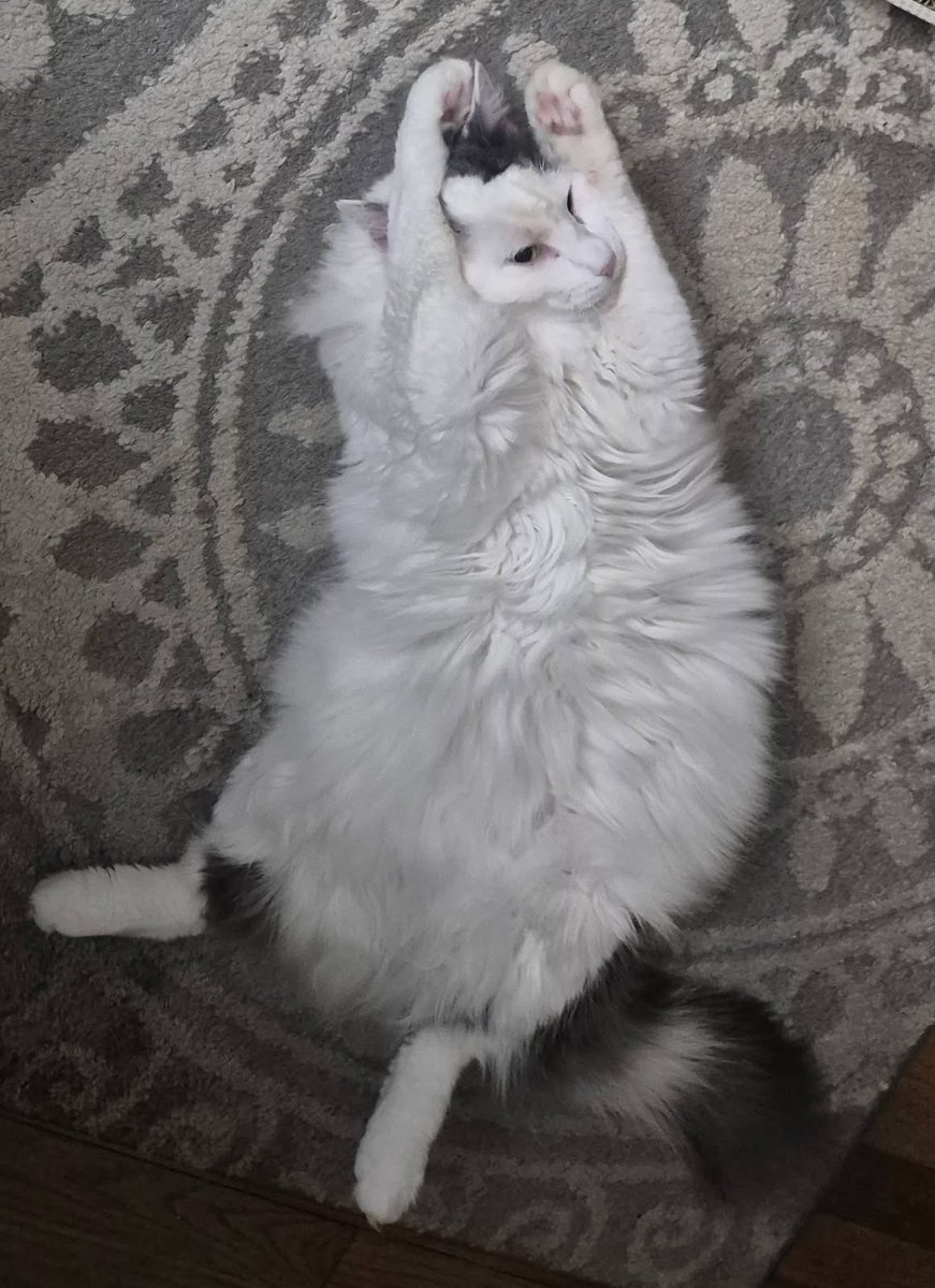 emmie 📚📓 tweet media