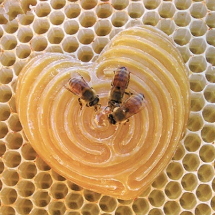 Glad tidings from a heart tweet media