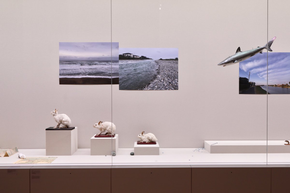 tottori_moa's tweet photo. /／
📣 #CONNEXIONS 展 本日まで！
\＼

『コネクションズ ―接続するアーティストたち』作品紹介

👤遠藤 薫（エンドウ カオリ）
［アーティスト、大阪出身］

☞工芸の技術や知識を基盤にしながら、その背後にある歴史や社会的背景を探るリサーチを制作の軸としてきました。素材や技法を単なる表現手段として扱うのではなく、どのような環境や労働、制度、信仰のなかで育まれてきたのかを丁寧にたどる姿勢が特徴です。

国内外の土地を訪れ、暮らしや共同体、政治や権力の構造に目を向けながら、身体を通して素材に触れ、モノをつくる行為を通して思考を深めています。

本展では、絣文化や民藝の窯元、藍染めや紙漉きの工房を訪れた制作と、神話や遺跡といった古代の信仰の痕跡に触れる体験を通し、土地の語られざる物語や感覚をすくい上げ、作品に昇華しています。その即興的で対話的な手つきは、音楽のセッションを思わせます。

- - - - - - - - - - - - - - - - - - - - - - - - - - -
『CONNEXIONS｜コネクションズ
　―接続するアーティストたち』

〈会期〉2026/2/7㊏～3/22㊐
〈会場〉3F 企画展示室
〈開館時間〉9:00～17:00(入館は16:30まで)
〈観覧料〉一般 1,200円／学生 750円／高校生 500円／小中学生 300円
- - - - - - - - - - - - - - - - - - - - - - - - - - -

▼展覧会ページはこちら
https://t.co/2yhS3Y3wQE

#鳥取県立美術館 #コネクションズ #企画展 #遠藤薫