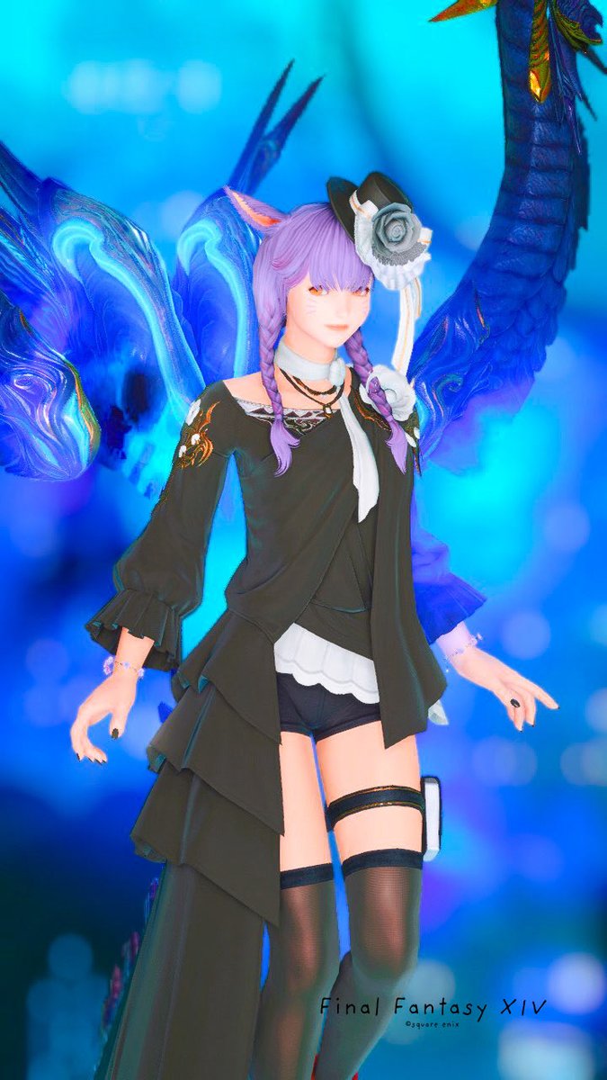 は　お　🐈‍⬛ tweet media