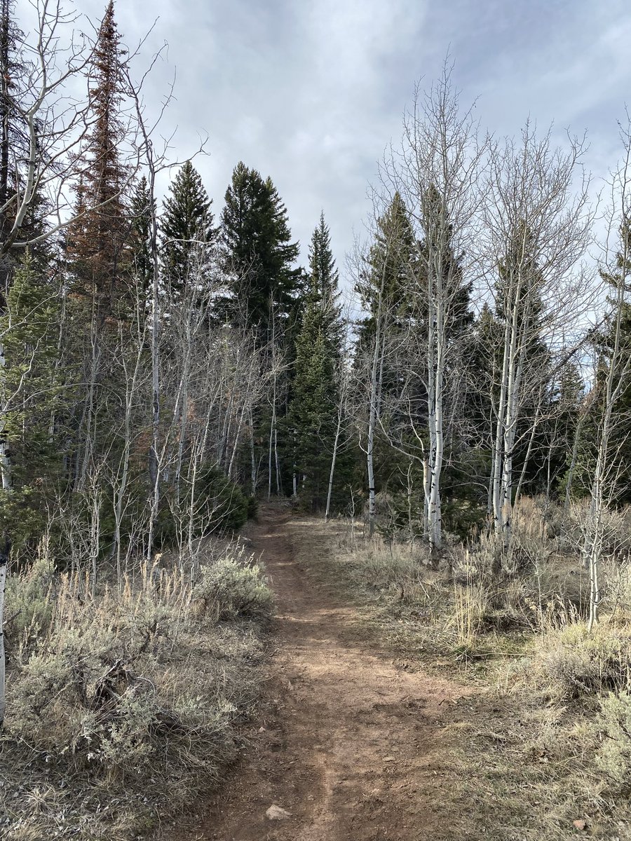 Libby - Nebraska & Wyoming Weather tweet media