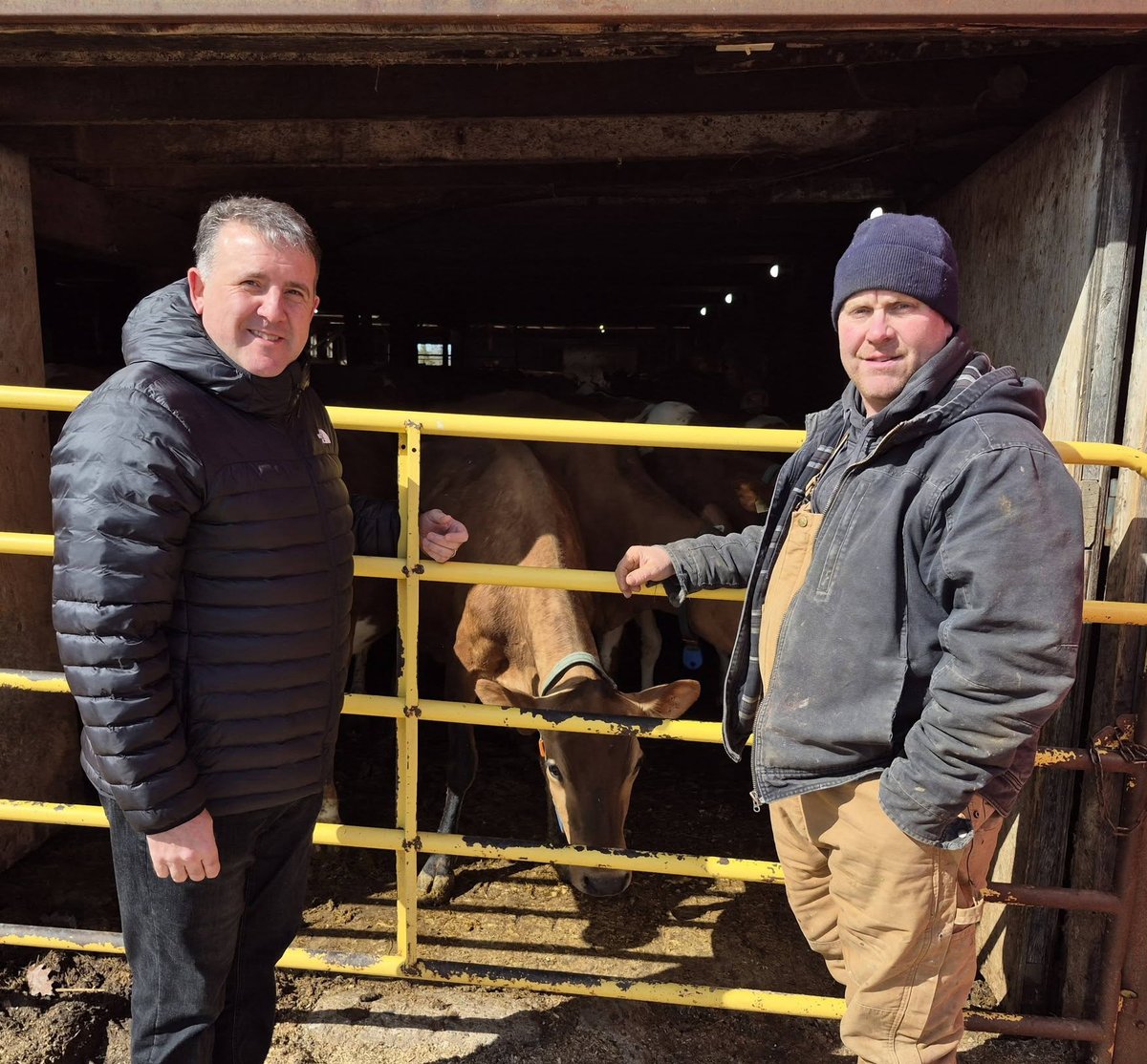 Daniel Allain tweet media