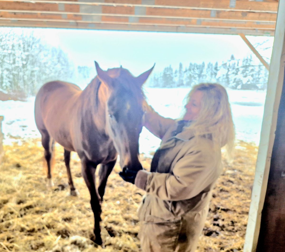 Daniel Allain tweet media