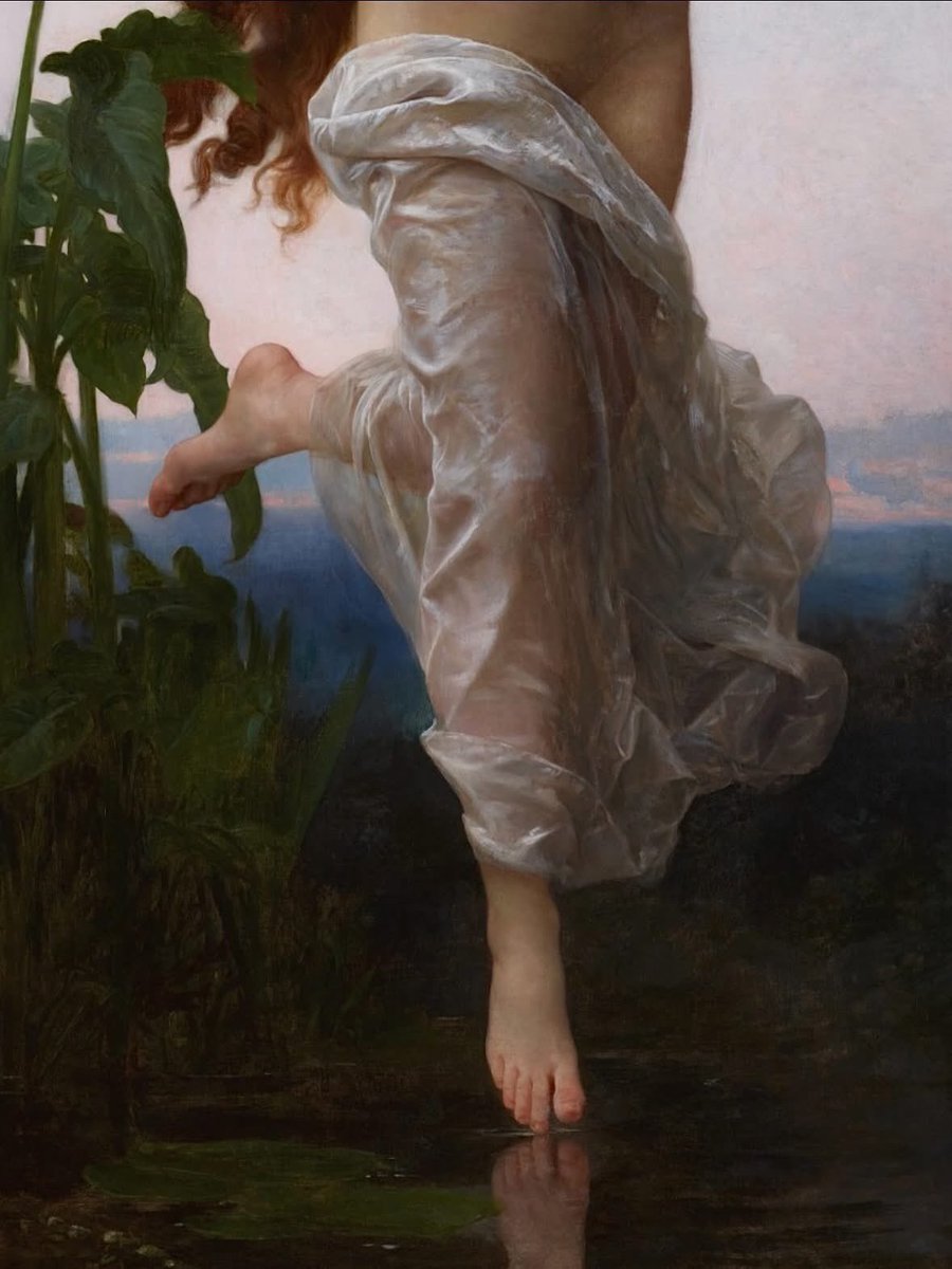 Academia Aesthetics tweet media