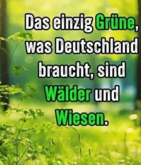 Tilmann Lösch tweet media