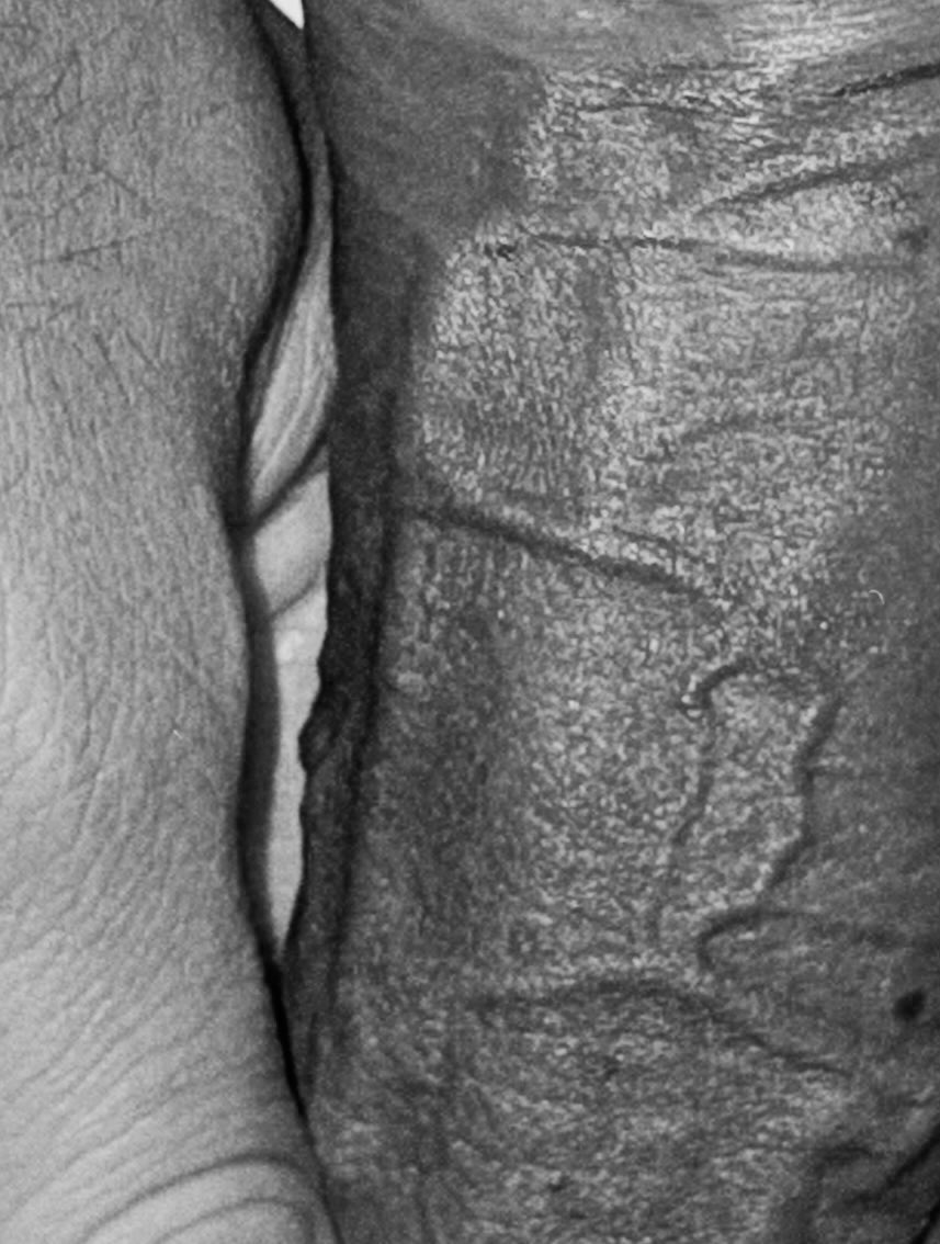 สกรูนอตท์ tweet media