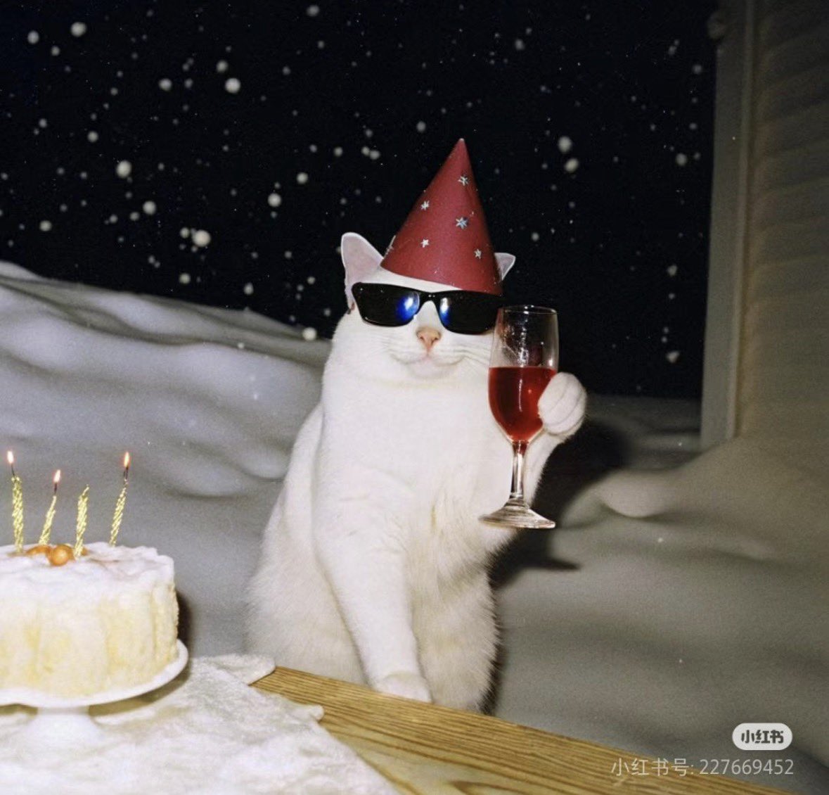 EOZ Yoxo tweet media