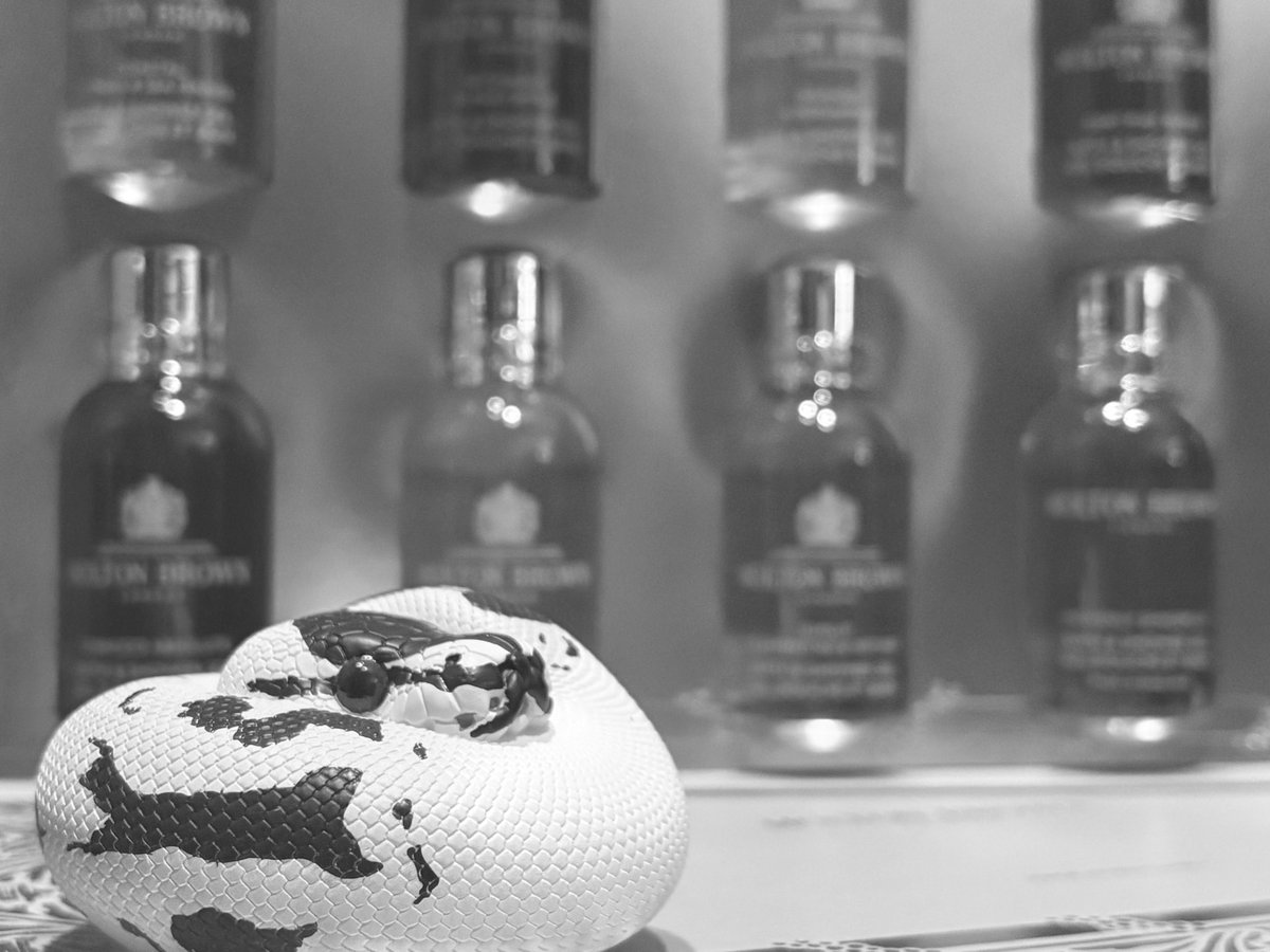 Yellow Benjamin tweet media