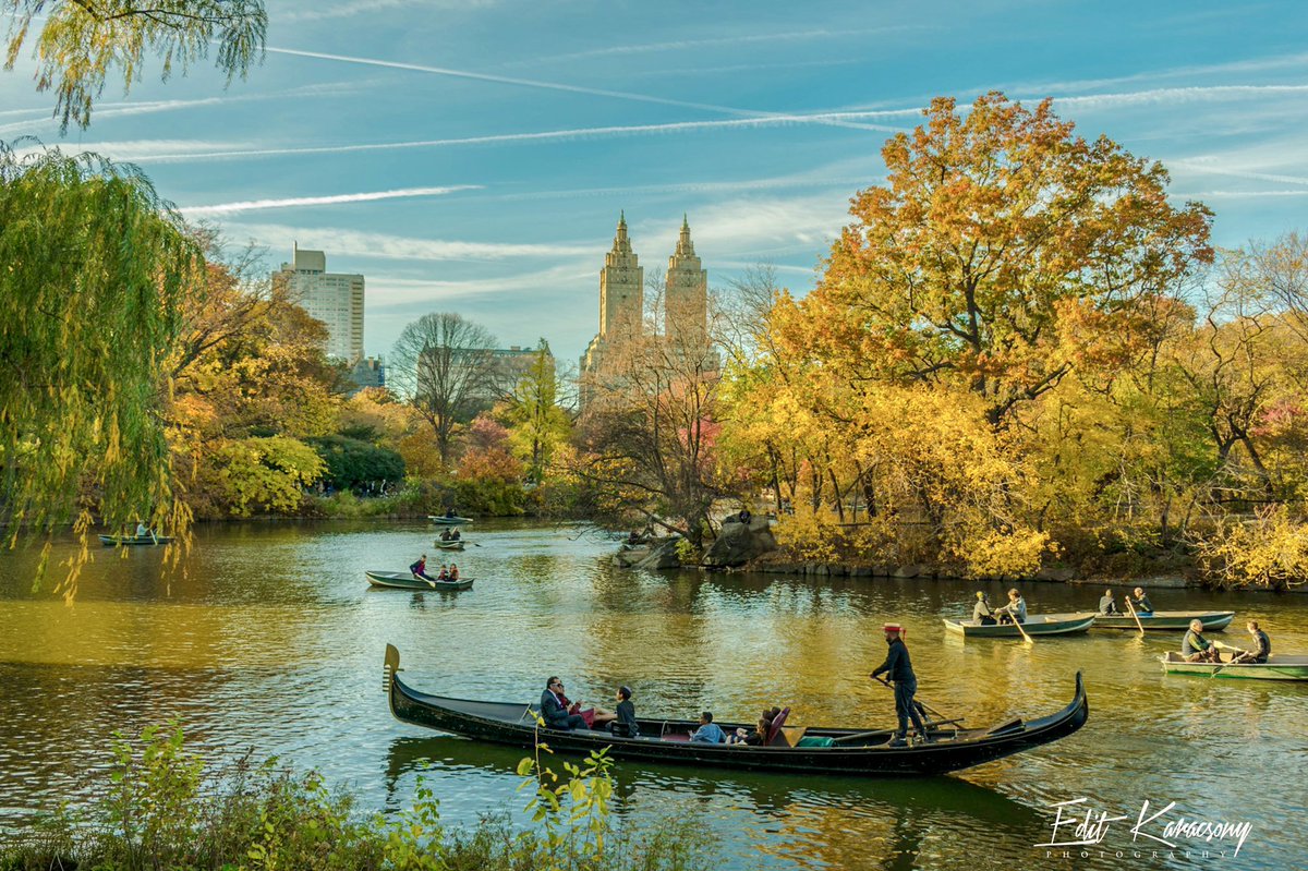 Edit Karacsony tweet media