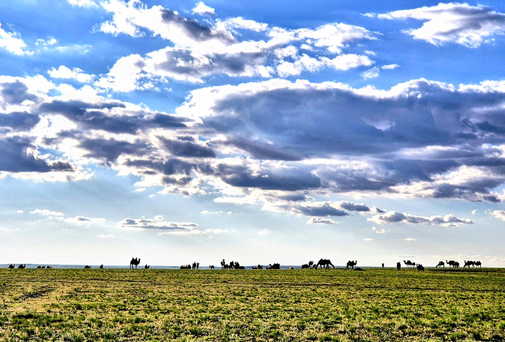 Bayar... Sh.⁹⁹ tweet media