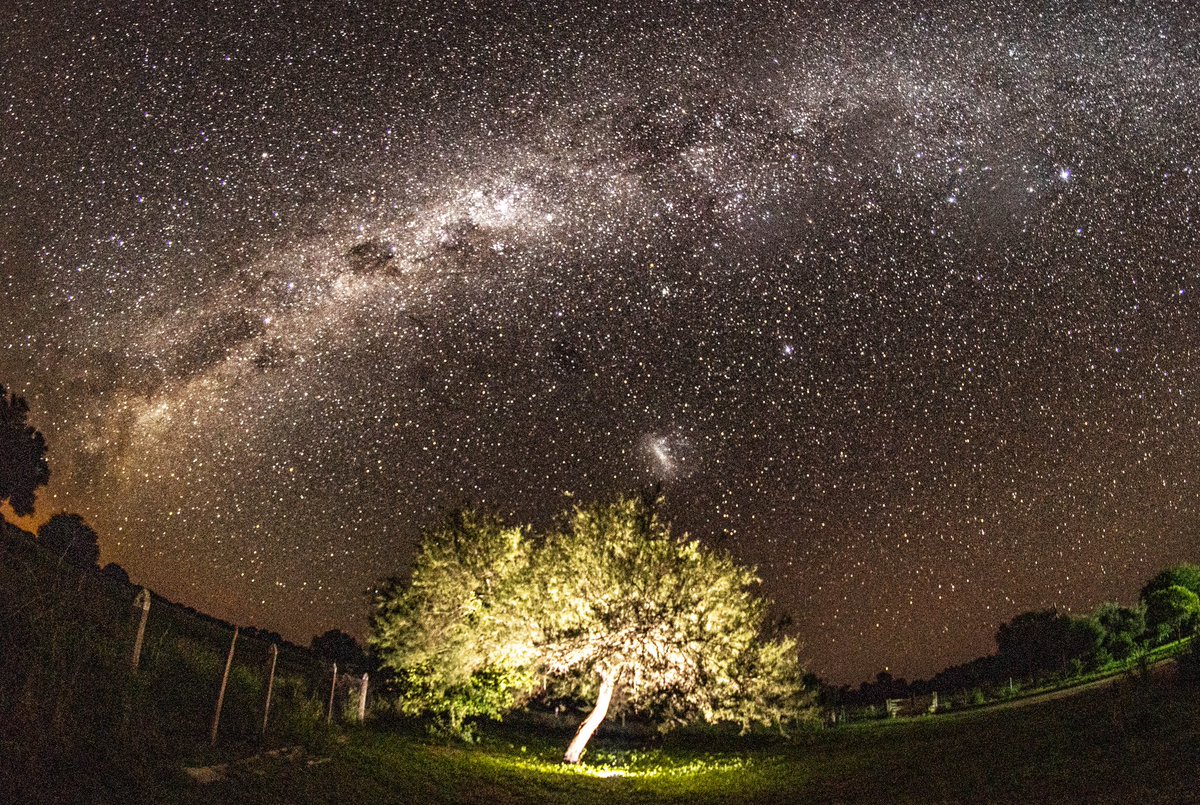 Sonia Maciel tweet media