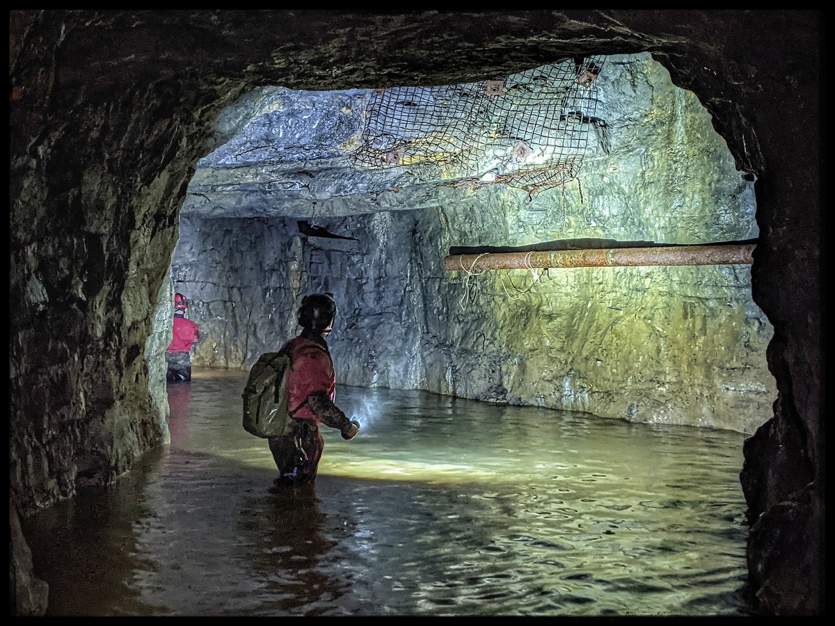 Peak Wanderer tweet media