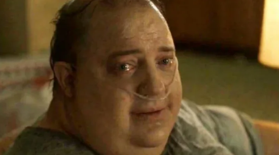 Meraa🪽☦️ tweet media