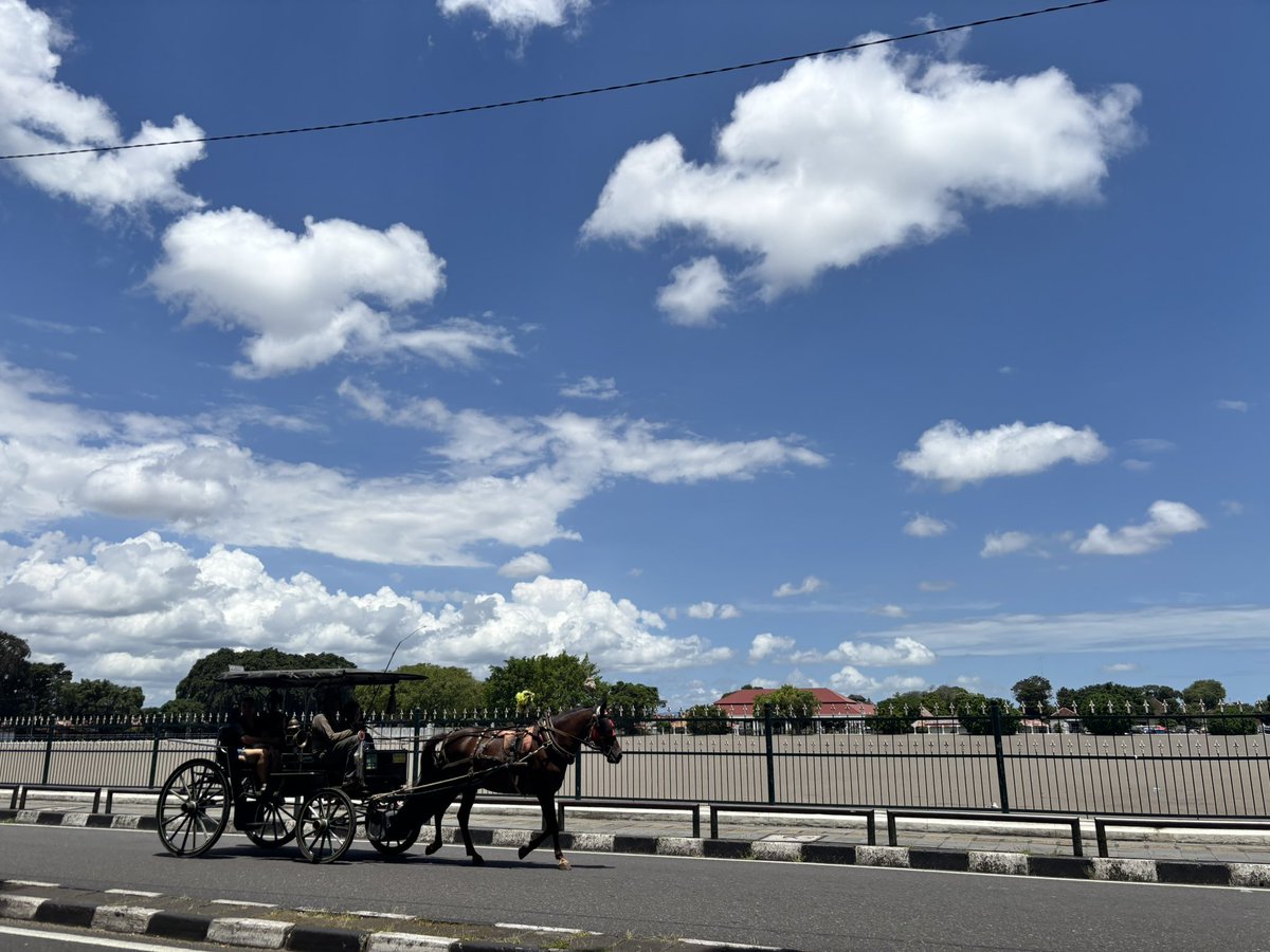 v i c a 🍉🍓👩‍🍳 tweet media