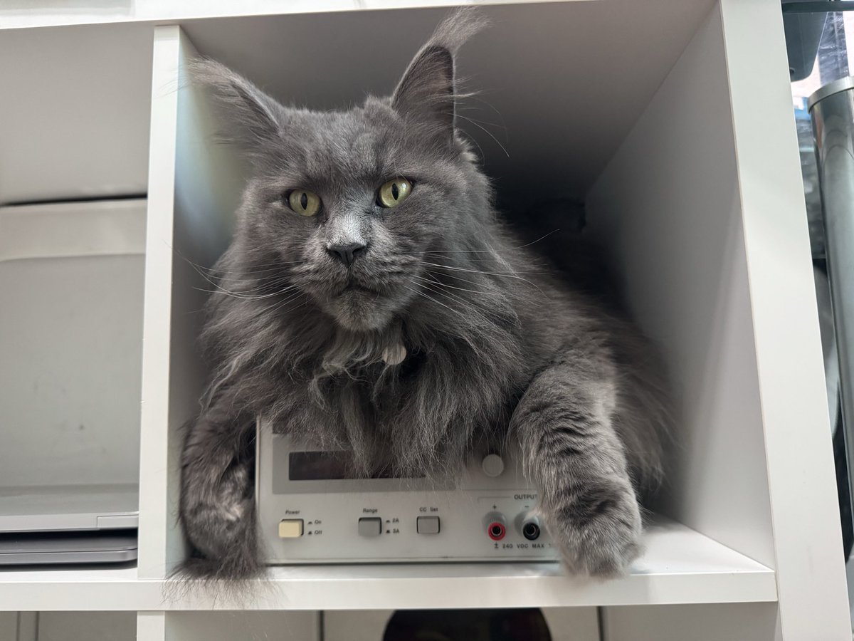 Dmitry Grinberg tweet media