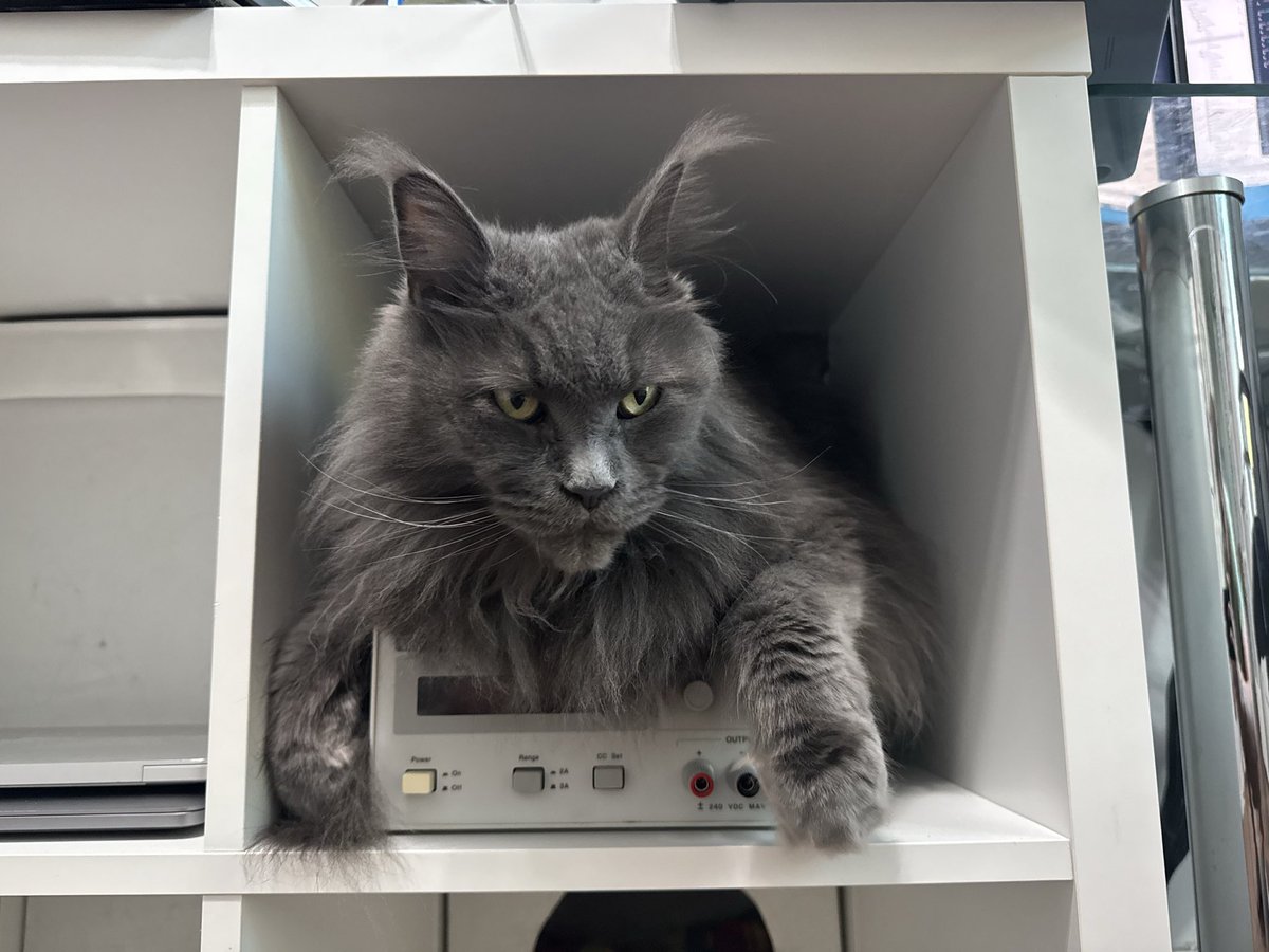 Dmitry Grinberg tweet media