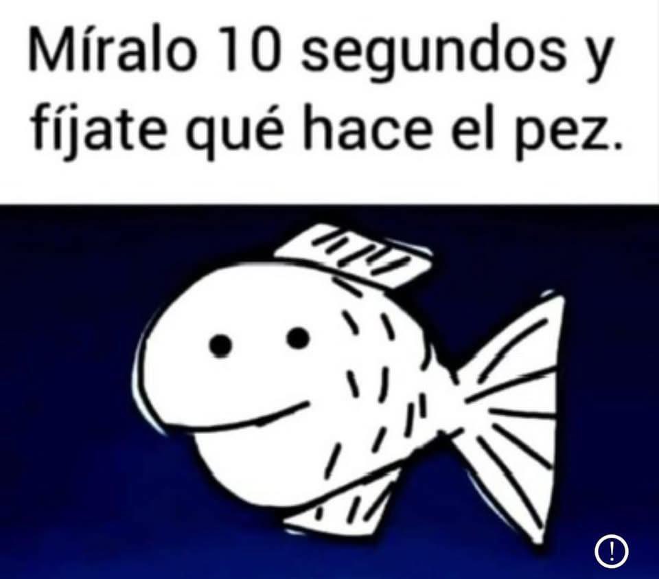 Rey por un día. tweet media