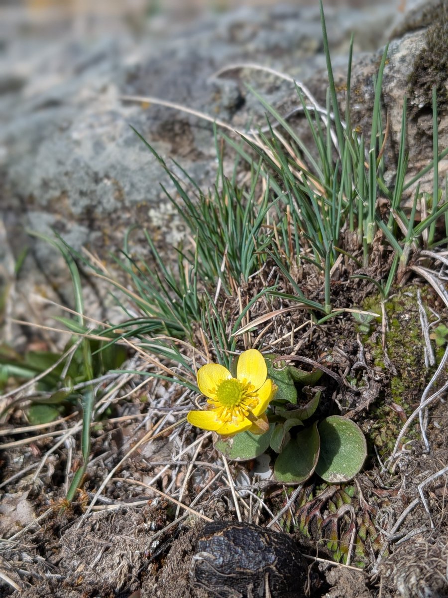 Heather Thomas tweet media