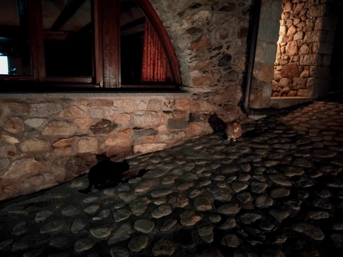 NúriaRIL tweet media