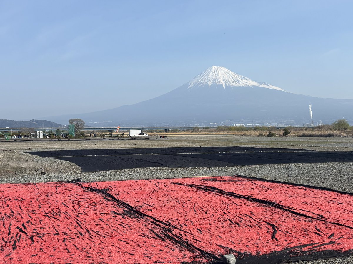 こにこ tweet media