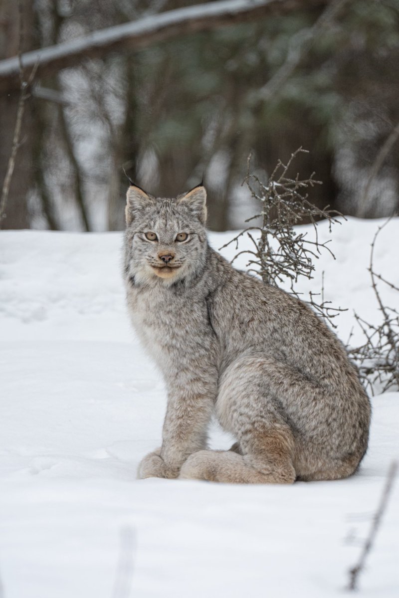 Jeremy Rand tweet media