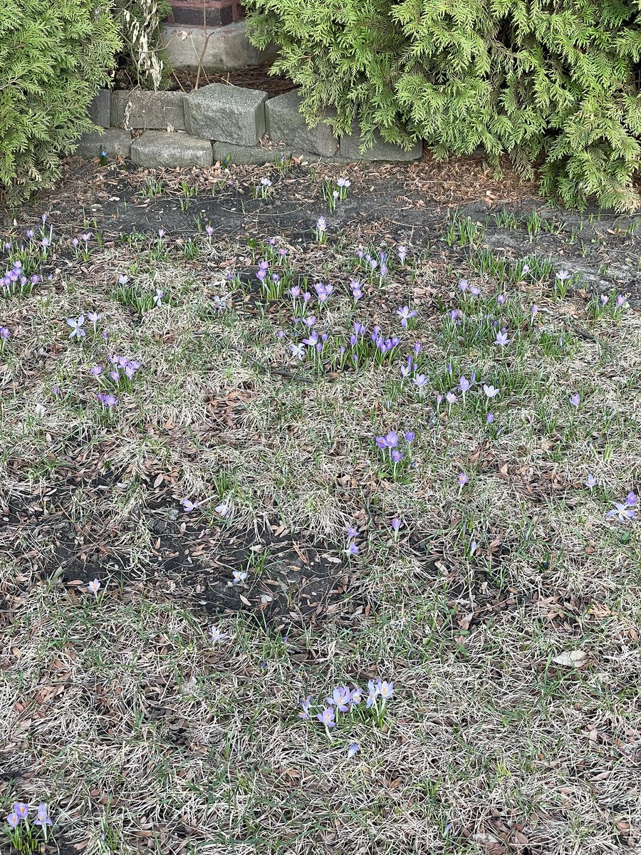 averyluna tweet media