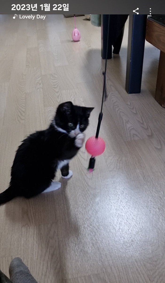 서포터 tweet media