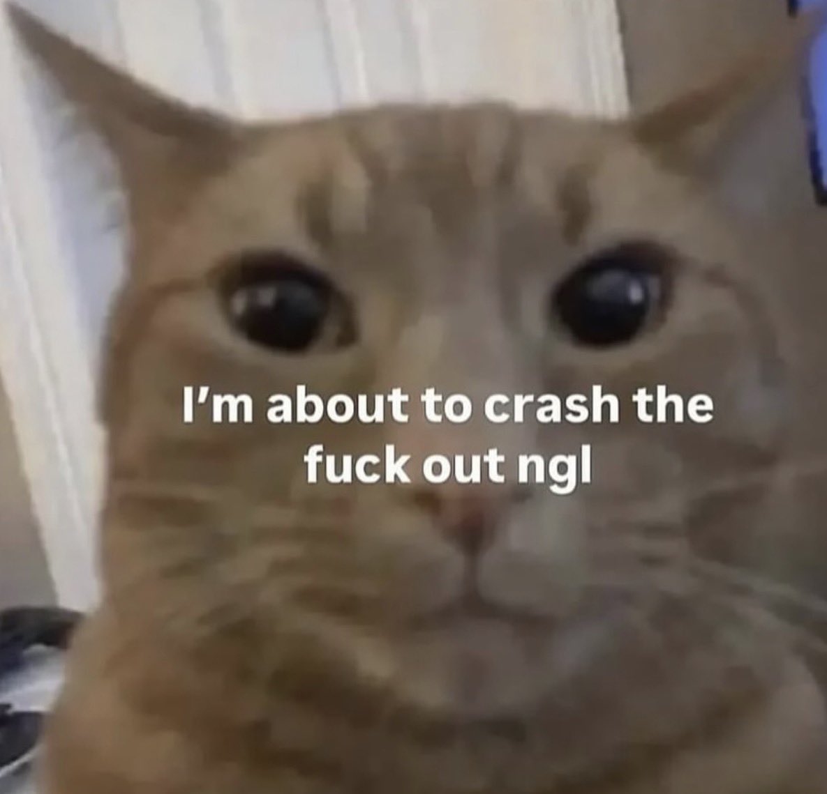 yo en el trabajo que literal fui al baño a llorar 😚