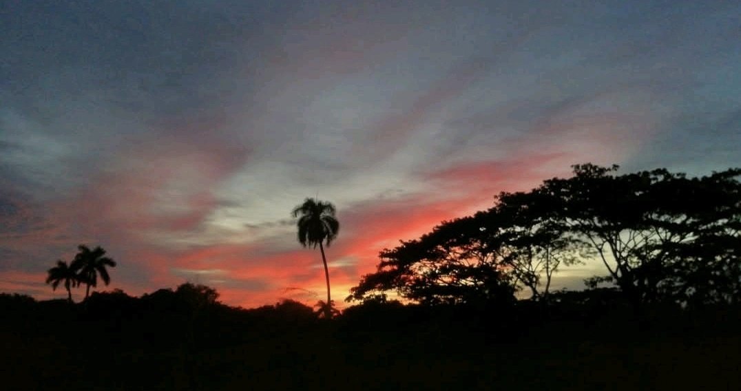 Ambassade de Cuba en France tweet media