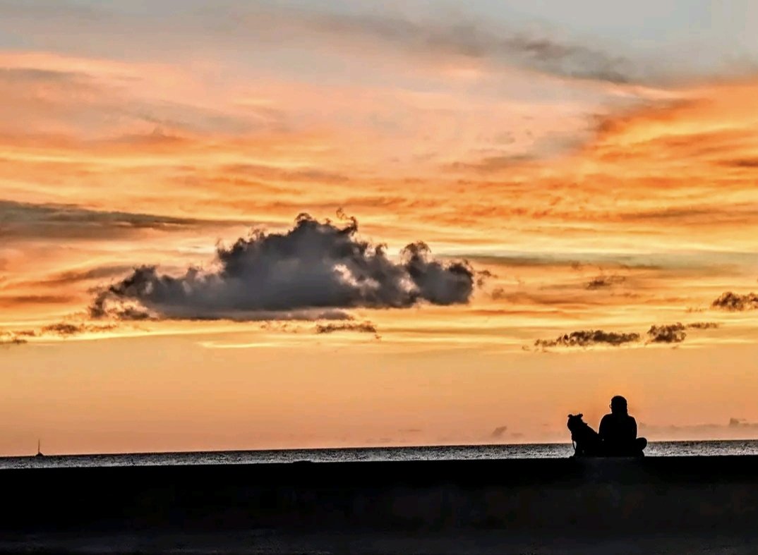 Ambassade de Cuba en France tweet media