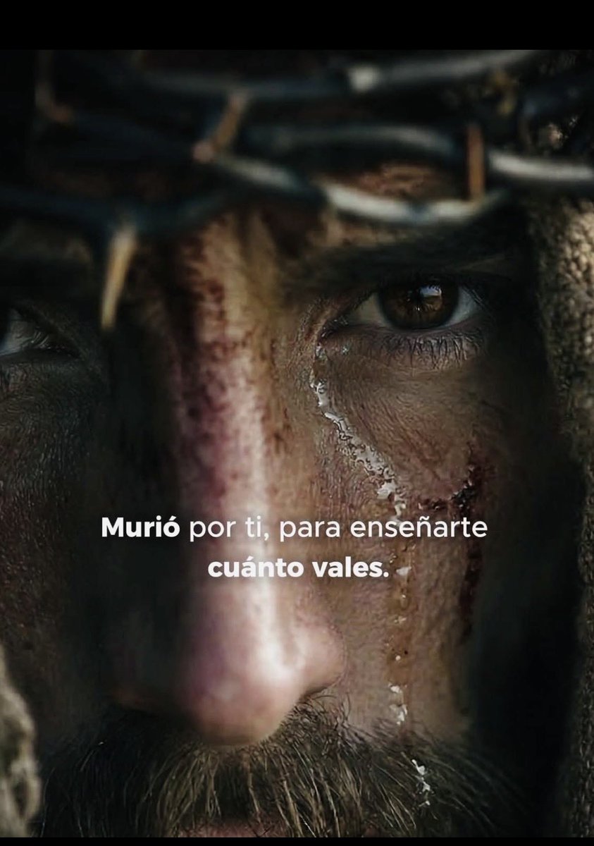 Efectozen tweet media